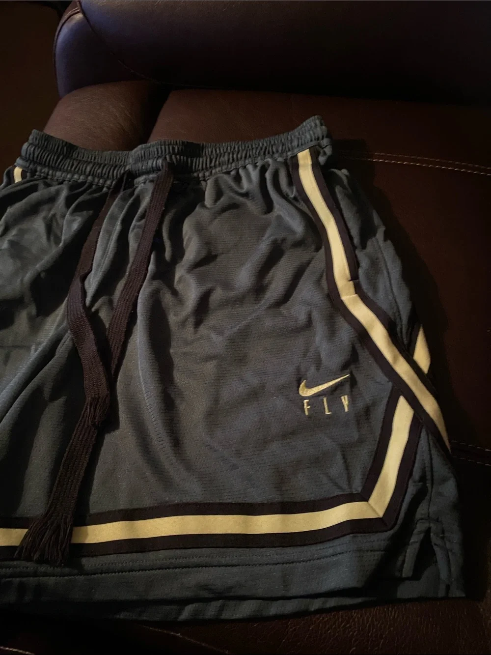 Nike Kids Blue Athletic Shorts with White Trim